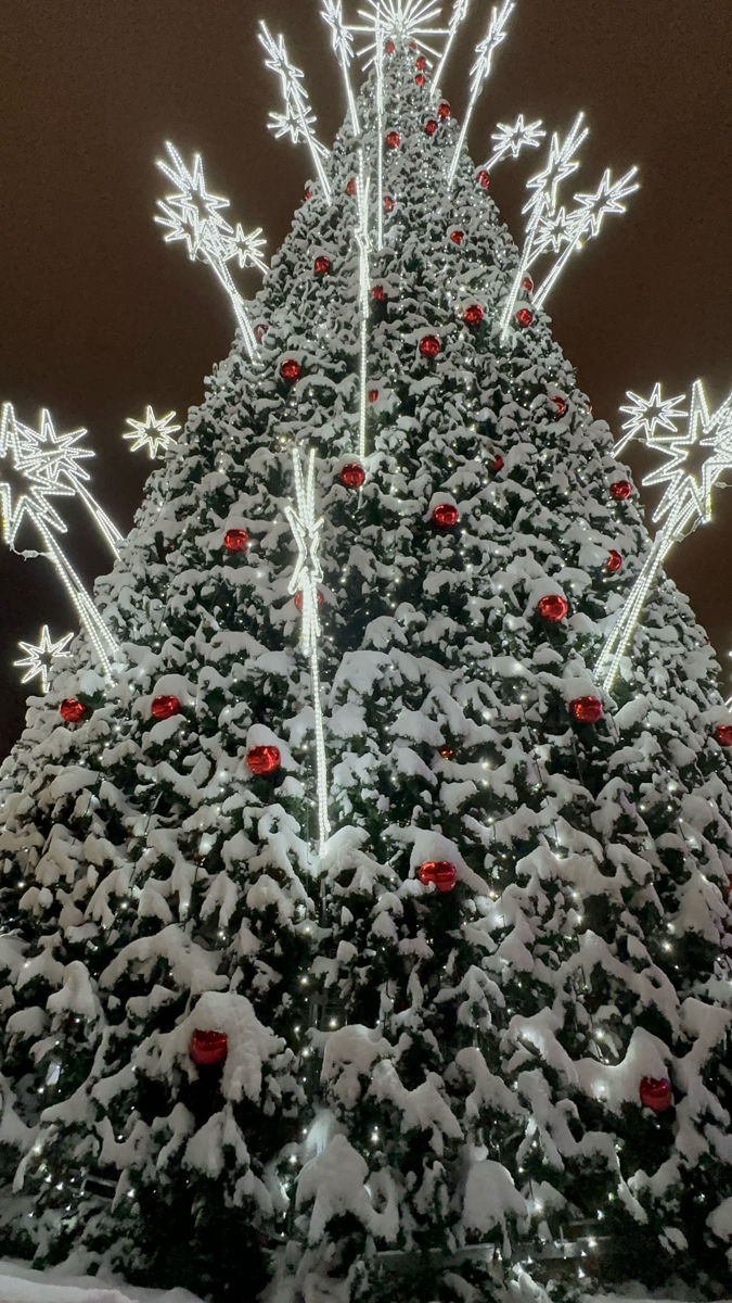 Ищу инвестора