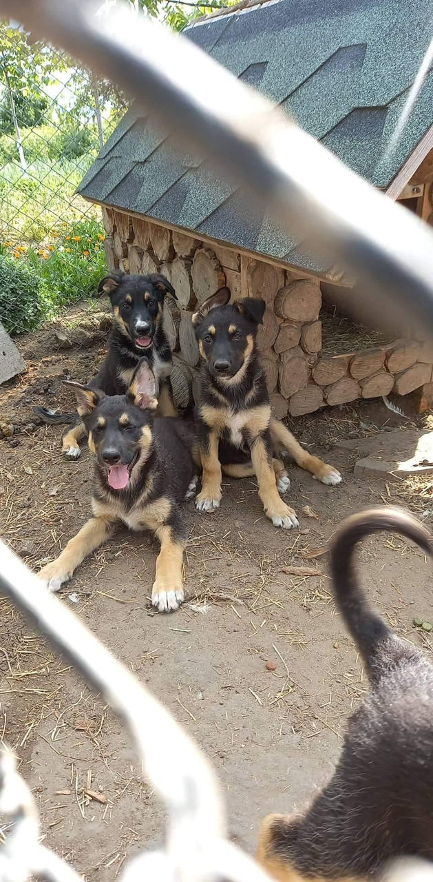 2 Раза Фото 5