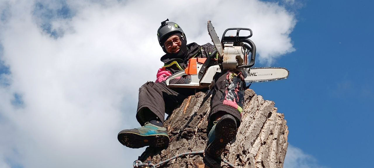 Defrisare arbori de orice dimensiuni si greutate.Arborist/Распиловка деревьев в труднодоступных мест foto 0