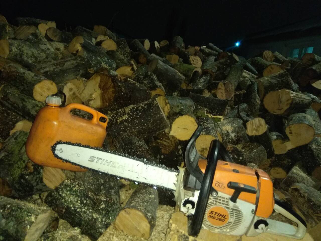 Tăiere (tai) lemne, crengi , pomi , copaci  și doborirea copacilor foto 4
