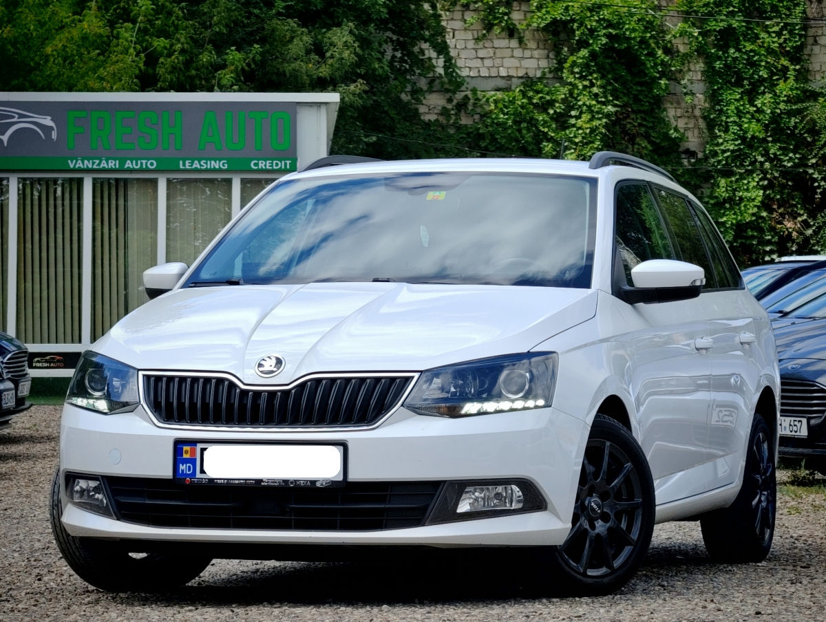 Skoda Fabia фото 1