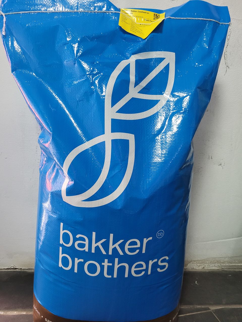 Vindem seminte de lucerna din Moldova, Italia, Olanda, pentru cei care le pasa de munca  lor! foto 2