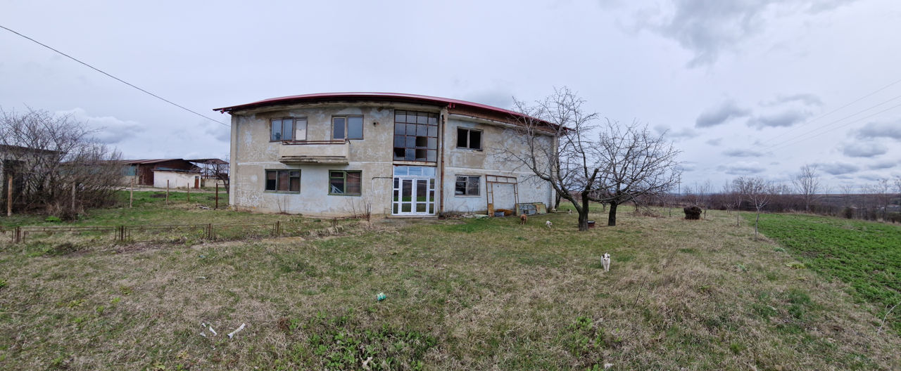 Ferma de pesti Romania foto 18