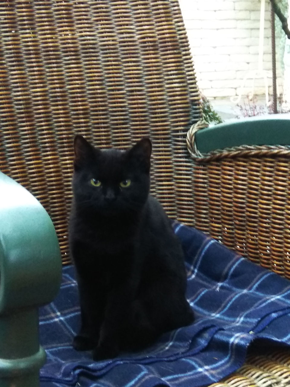 Отдам в хорошие руки