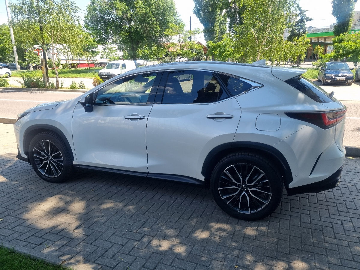 Lexus NX Series 2022 photo 8