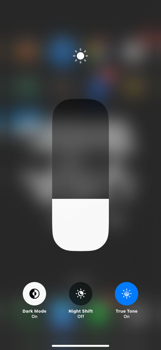 iPhone 11  foto 5