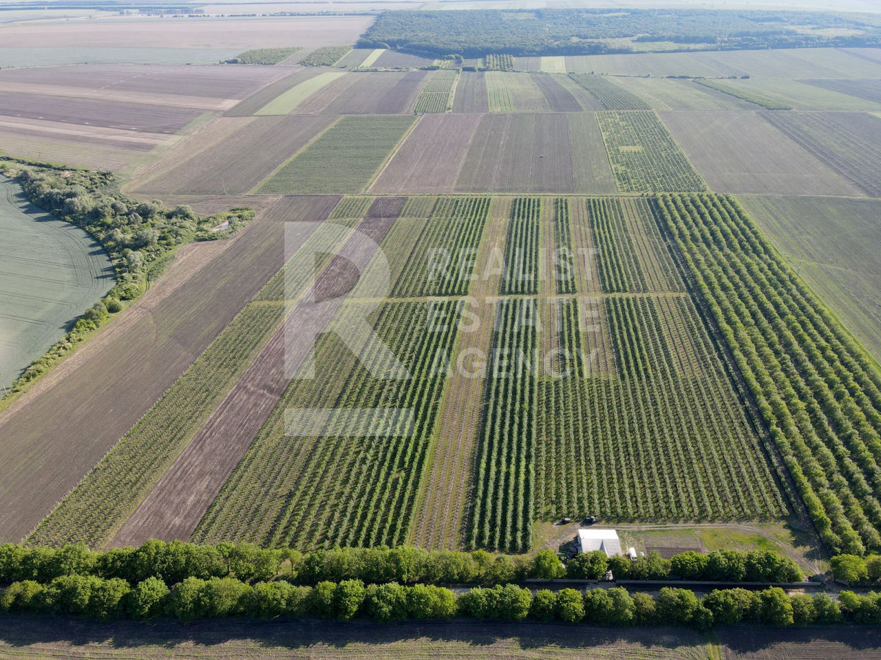 Livadă de vânzare în raionul Edineț - 14 ha foto 1