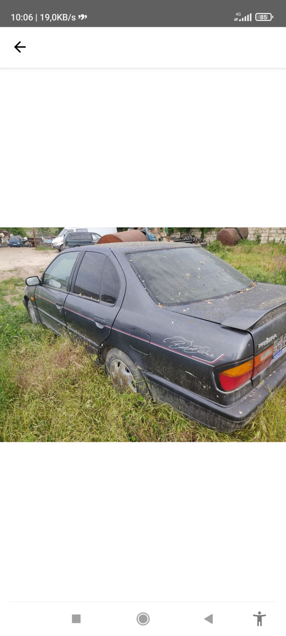 Nissan Primera foto 0