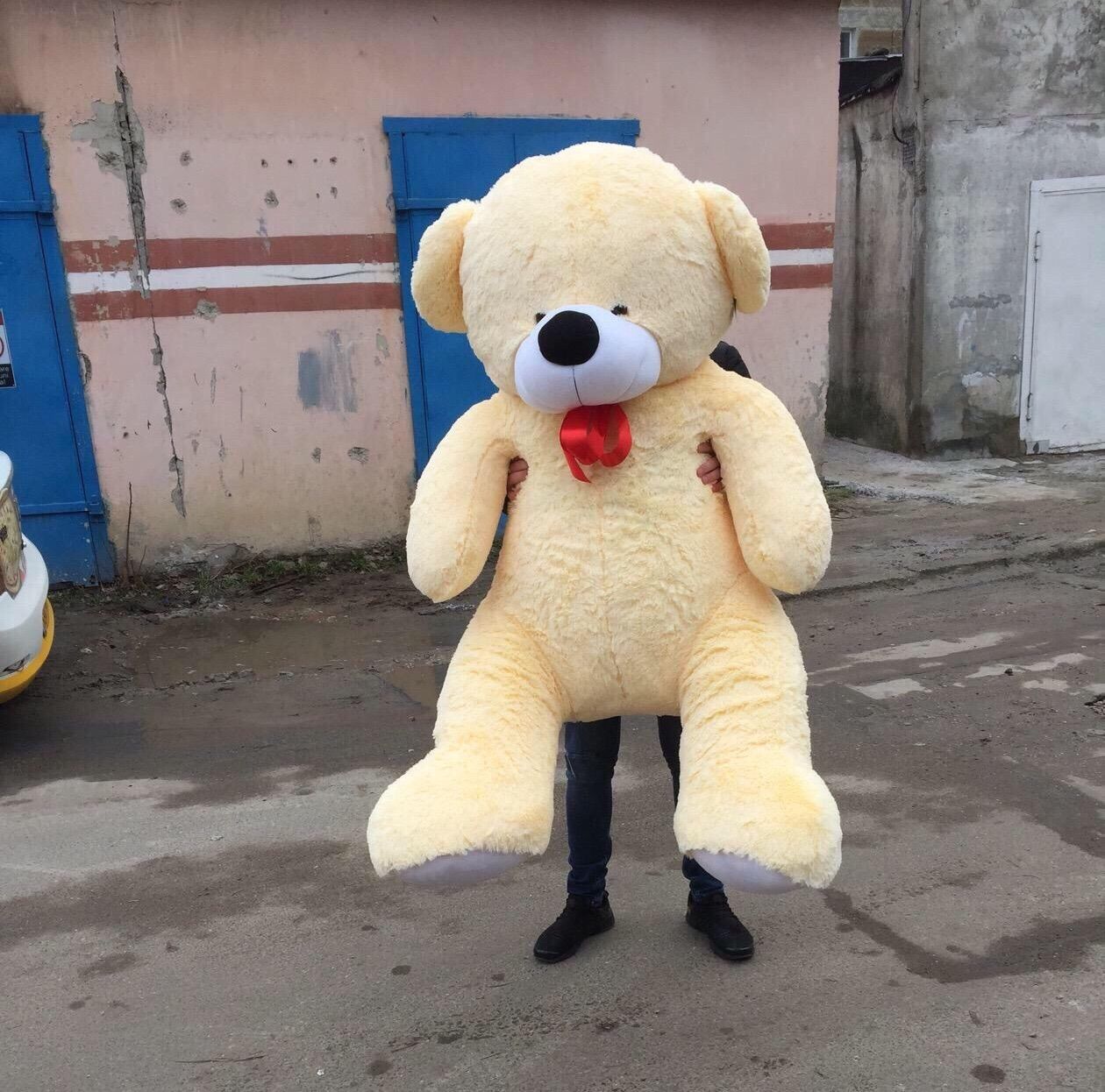 Ursuleti de plus cel mai frumos cadou. Livrare ! фото 0