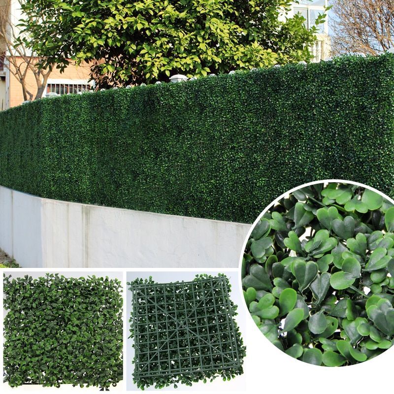 Декоративная зелень Boxwood foto 3