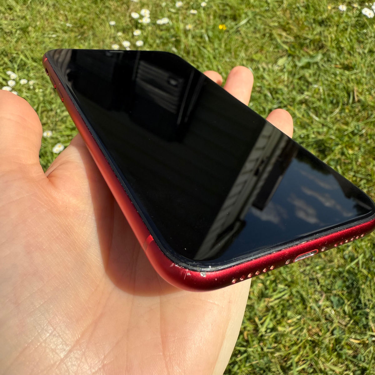 Apple iPhone 11 Red foto 4