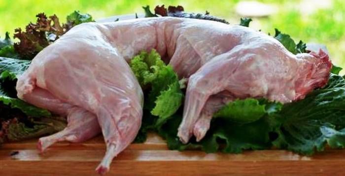Куплю мясо кролика!!! Iepuri