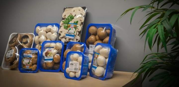 Упаковка для ягод и грибов. Ambalaje pentru legume, fructe, și ciuperci. foto 0