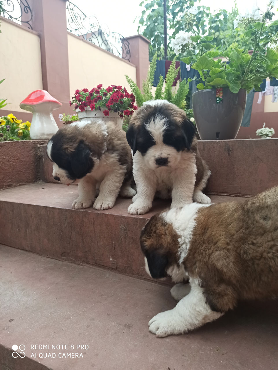 2 Раза Фото 5