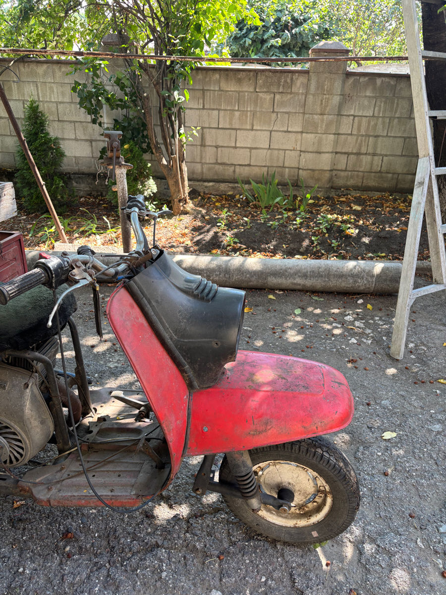 DucatiMoldel