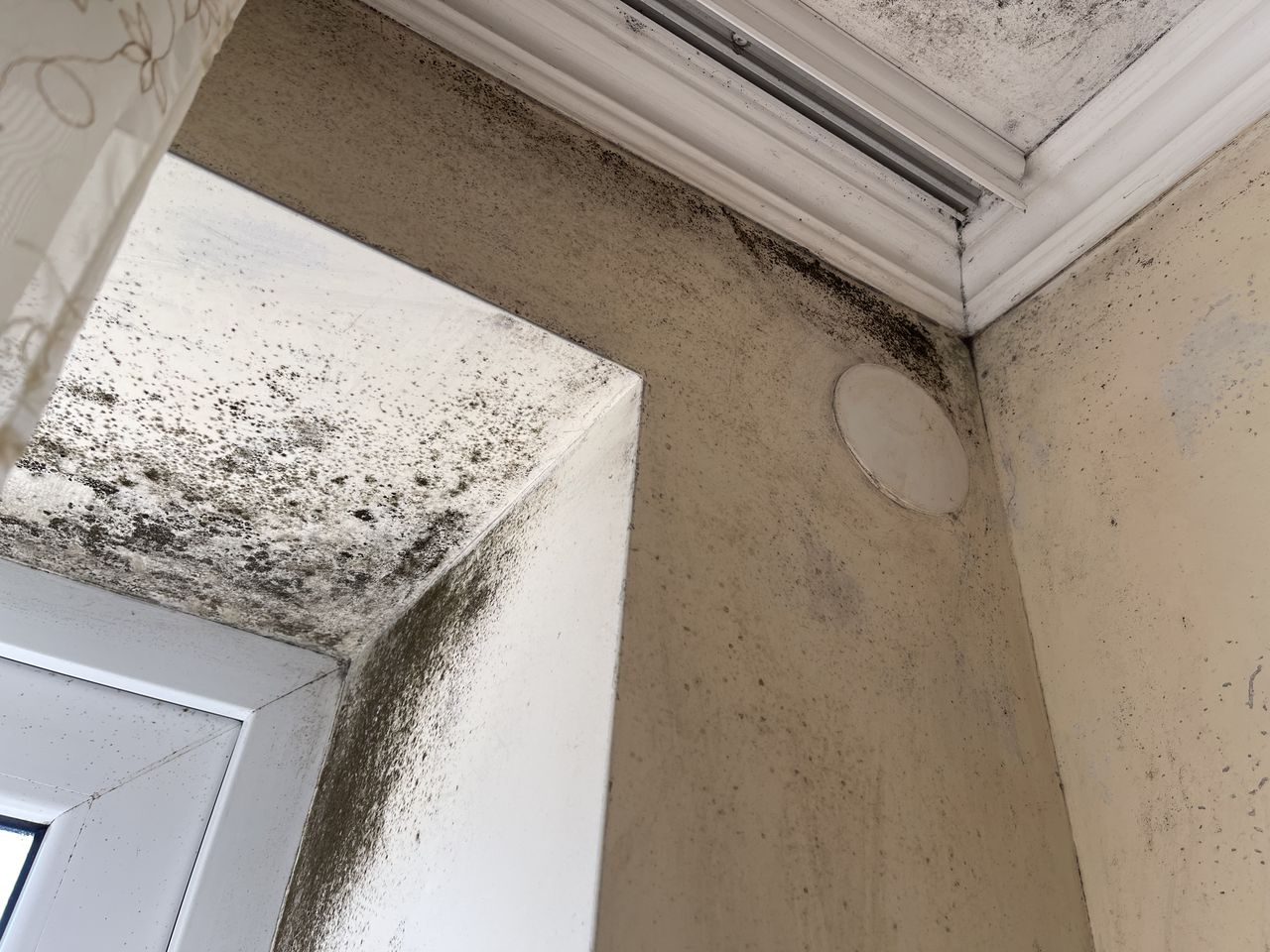 Umiditate, mucegai, aer viciat sau sănătate îmbunătățită, aer curat și fără mucegai !!!. foto 3