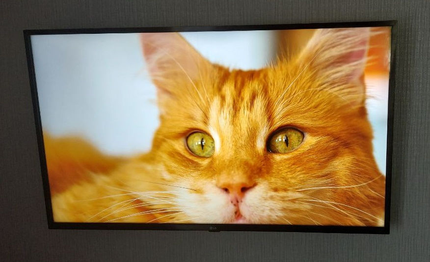 Lg"43" Smart tv 4K foto 0