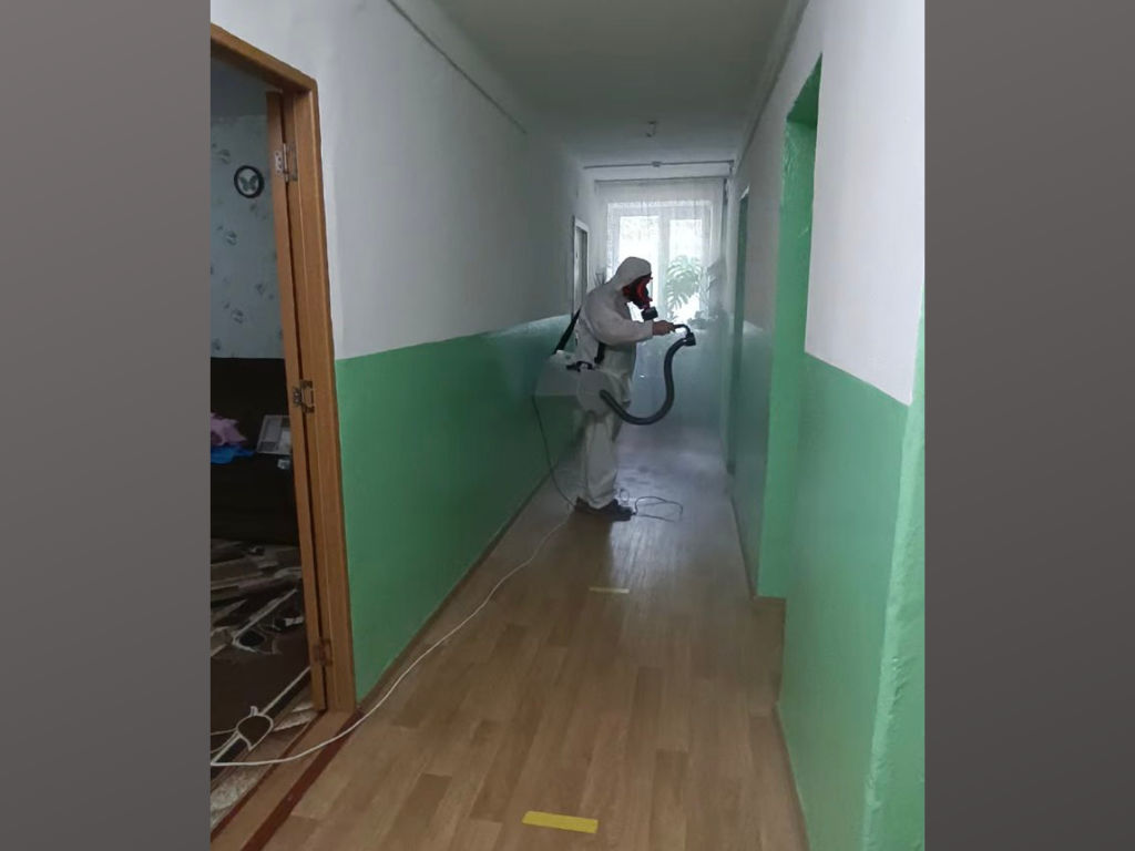 Дезинфекция уничтожение клопов тараканов блох фото 2