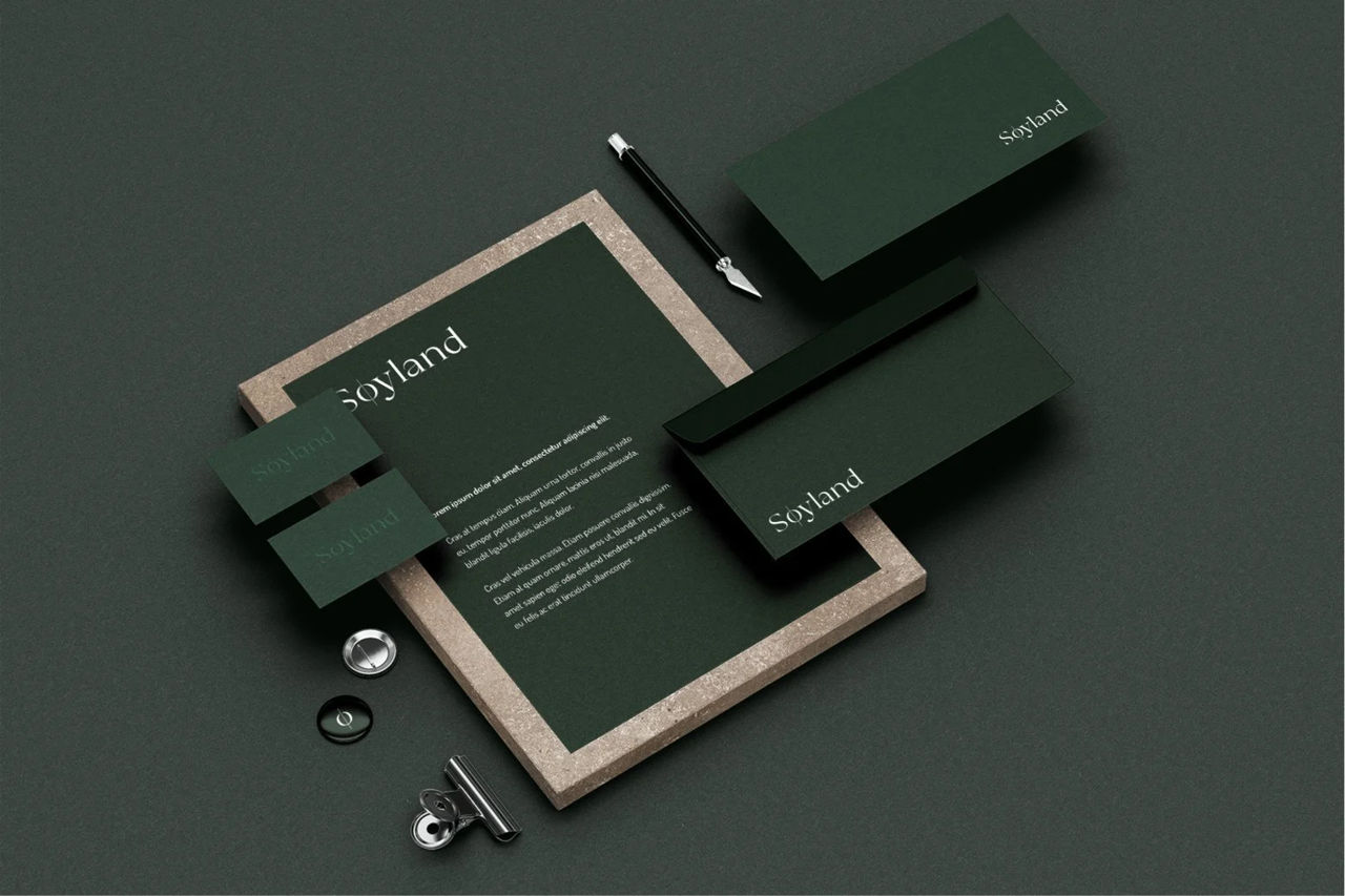 Top Servicii de Creare Logo фото 13