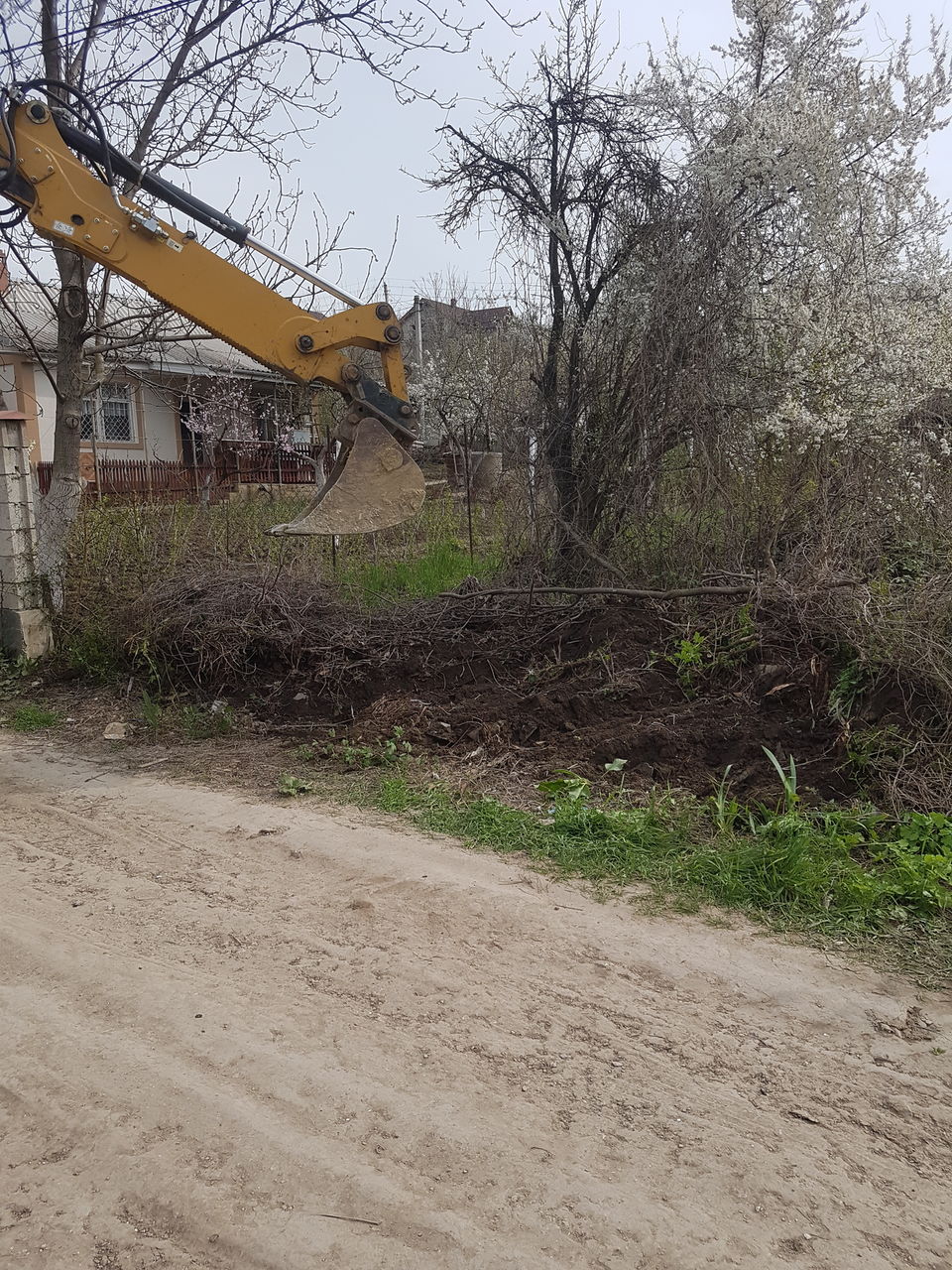 Curățim terenuri Jungla Вырубка деревьев Выкорчеваем пенки taierea copacilor foto 5