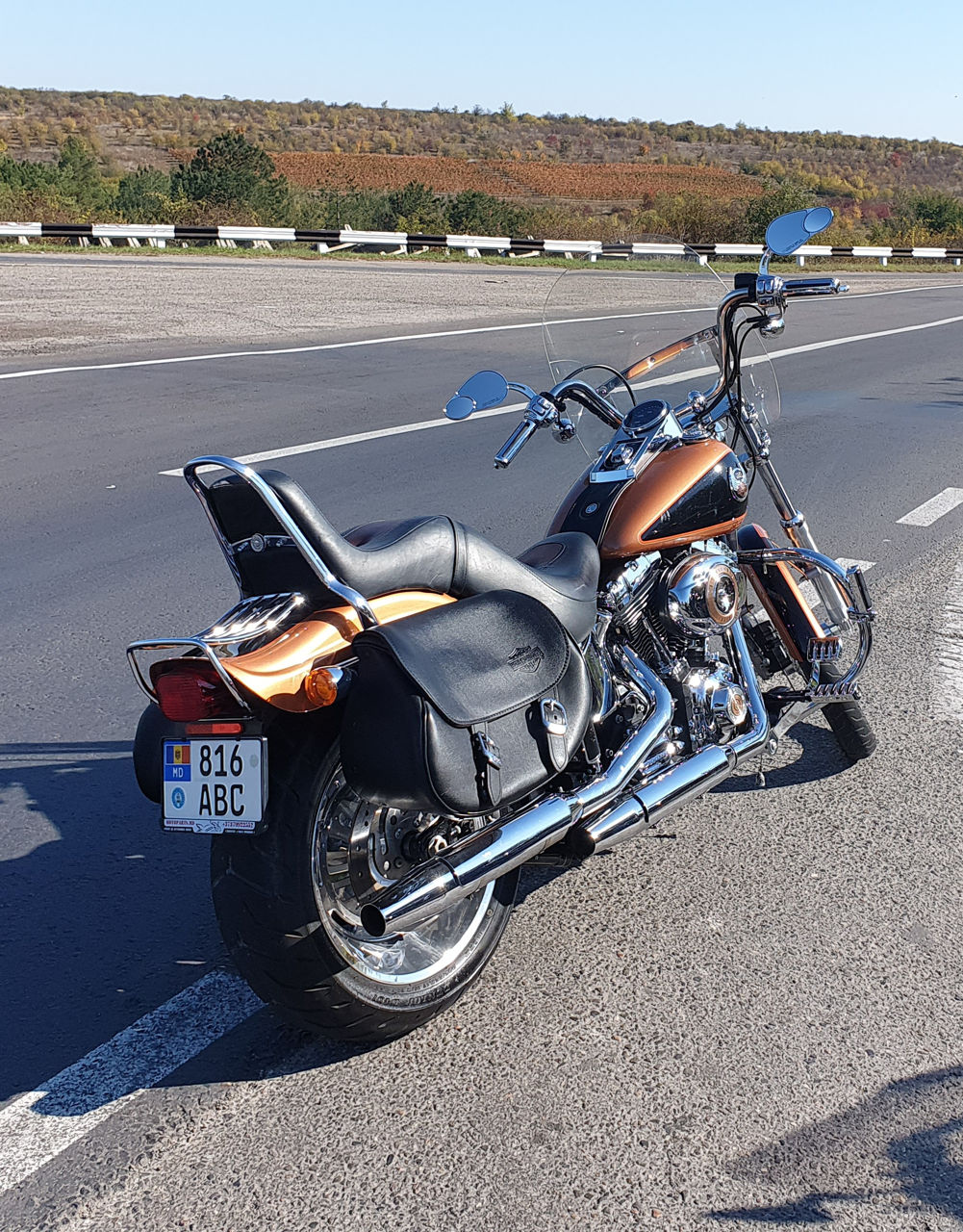 Harley - Davidson FXSTC 105Anniversay foto 0