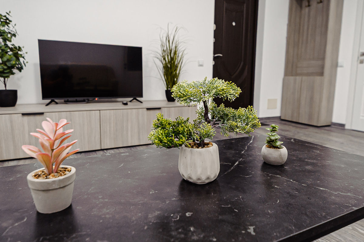 Apartament cu 1 cameră,  Centru,  Chișinău,  Chișinău mun. foto 0
