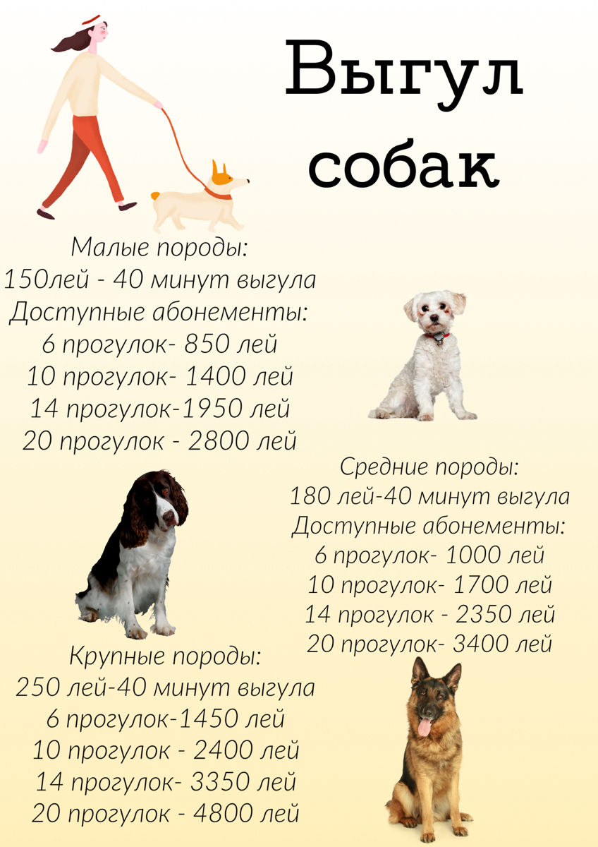 Выгул Собак/Посещение Кошек фото 1