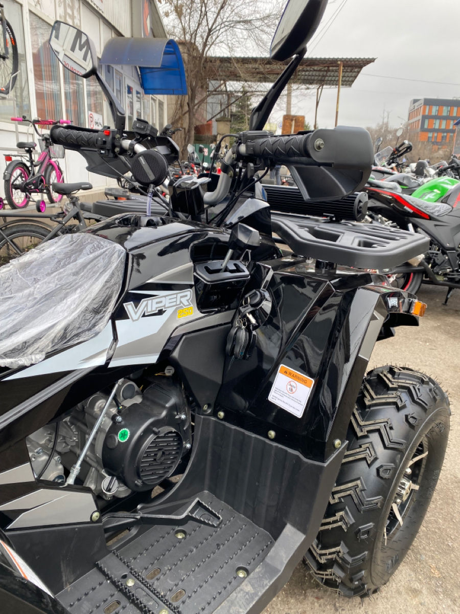 Viper 250 foto 11