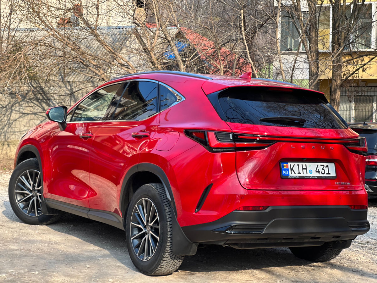 Lexus NX Series фото 6