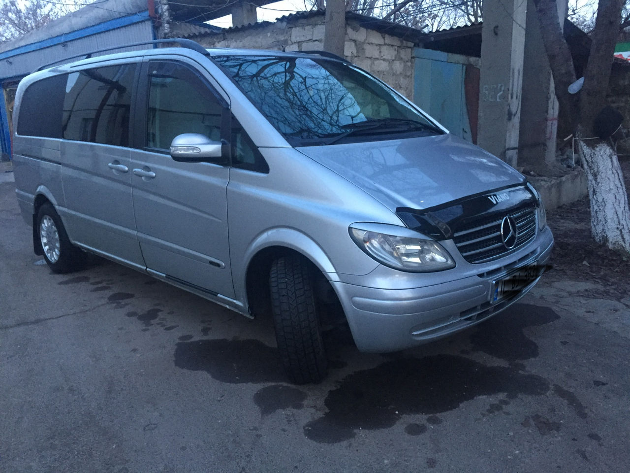 Mercedes Viano foto 0