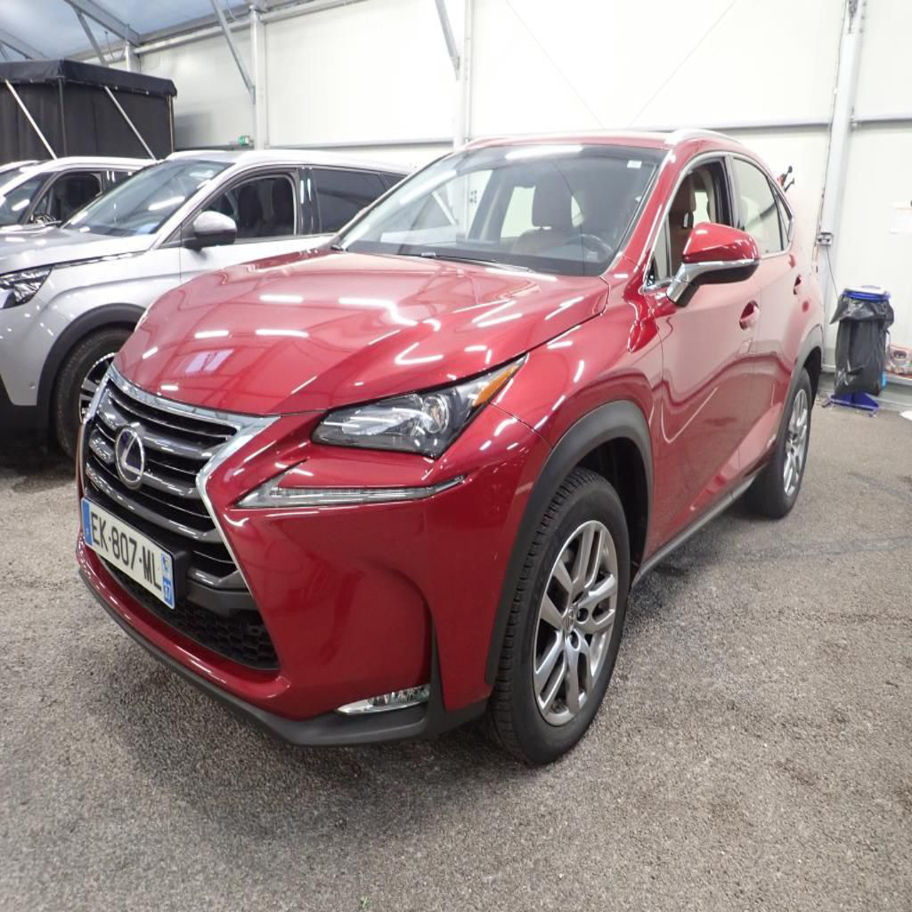 Lexus NX Series foto 1