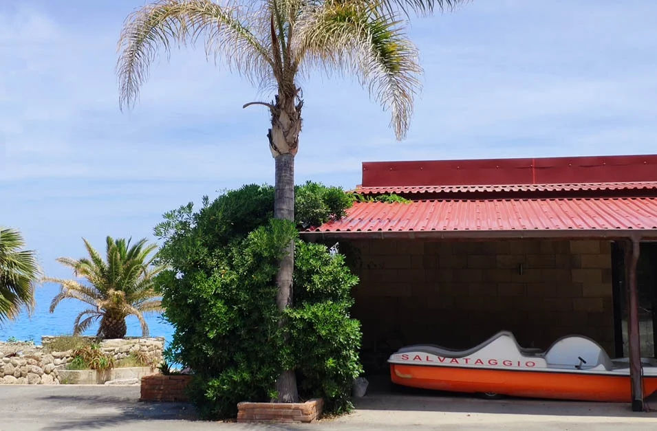 Profnastil PVC multistrat din Italia foto 6