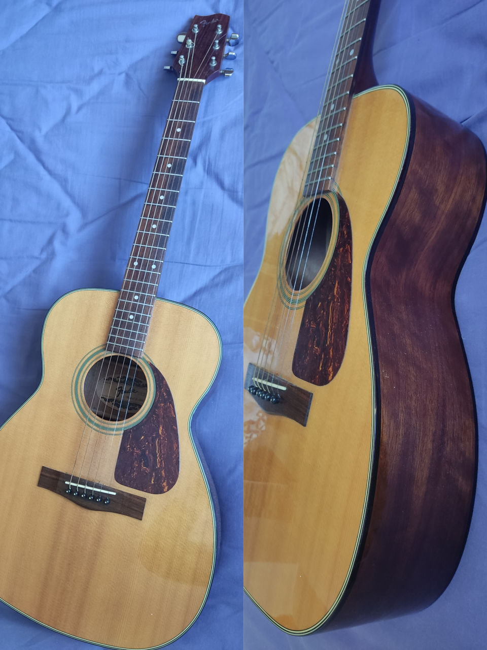 fender, Ibanez, SX , Harley benton 120  (v korobke) novaya фото 2