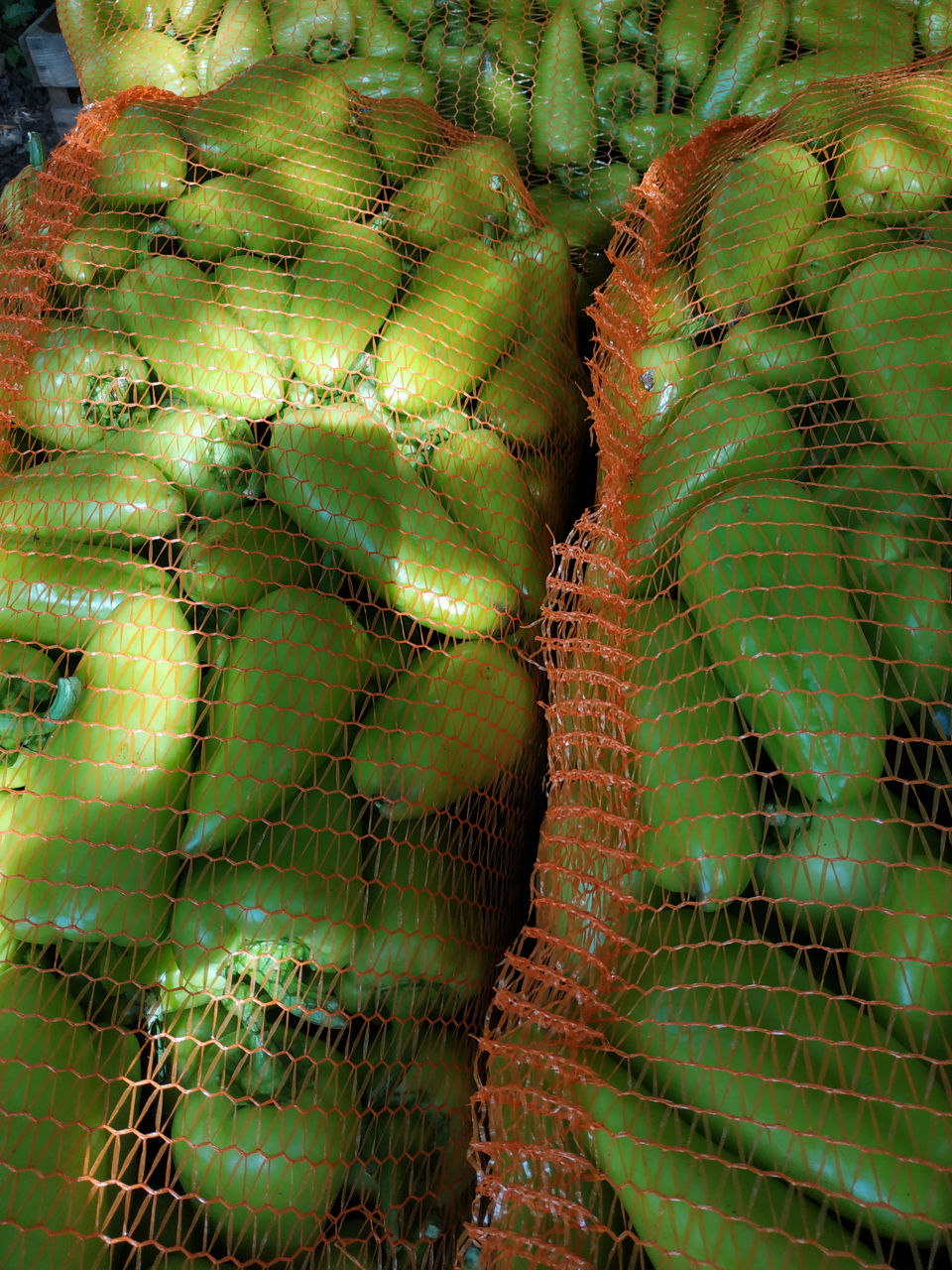 Продам перец , сорт полет