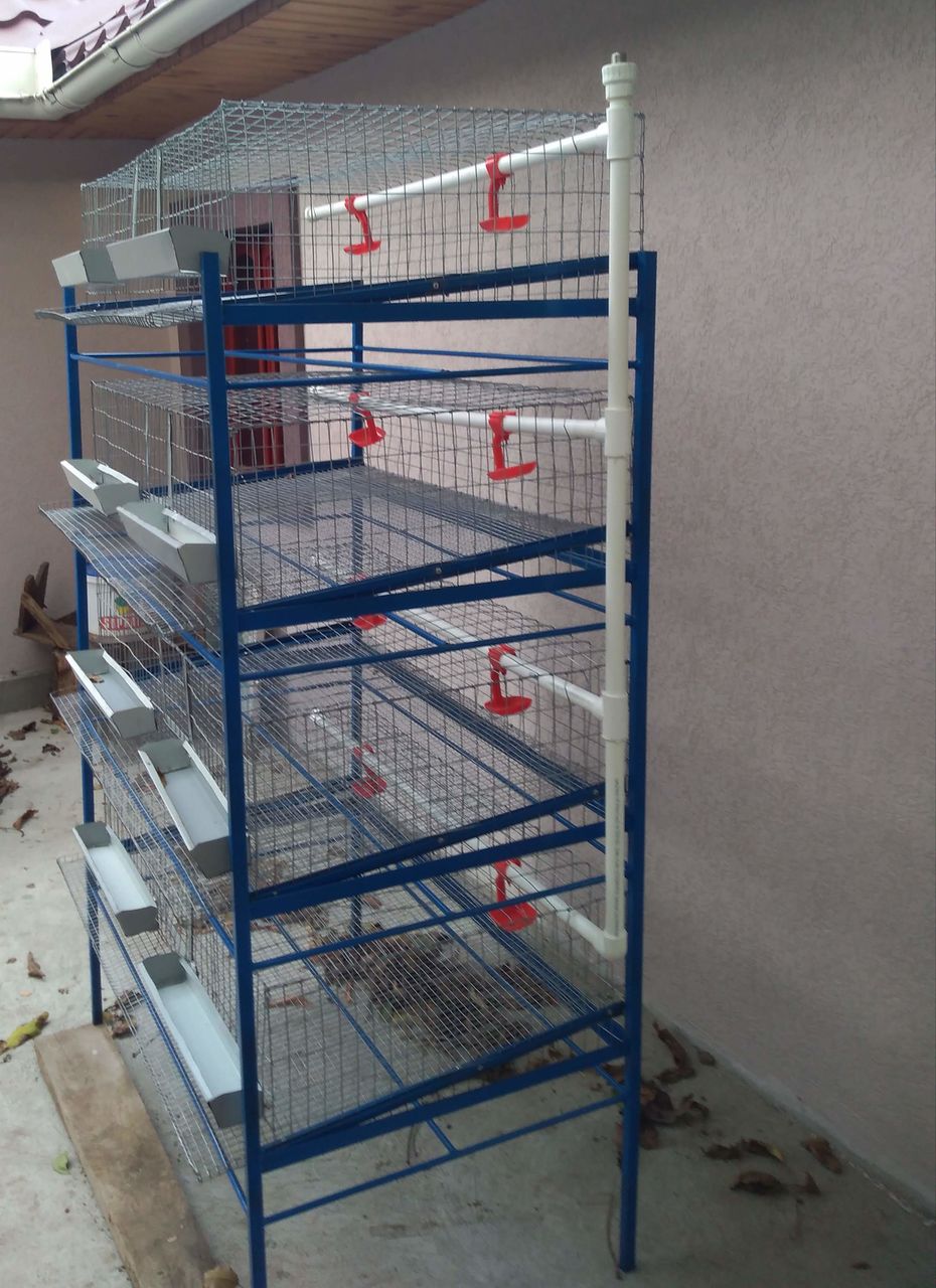 Cuști pentru prepelite foto 2