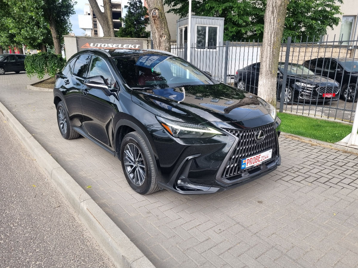 Lexus NX Series 2022 photo 3