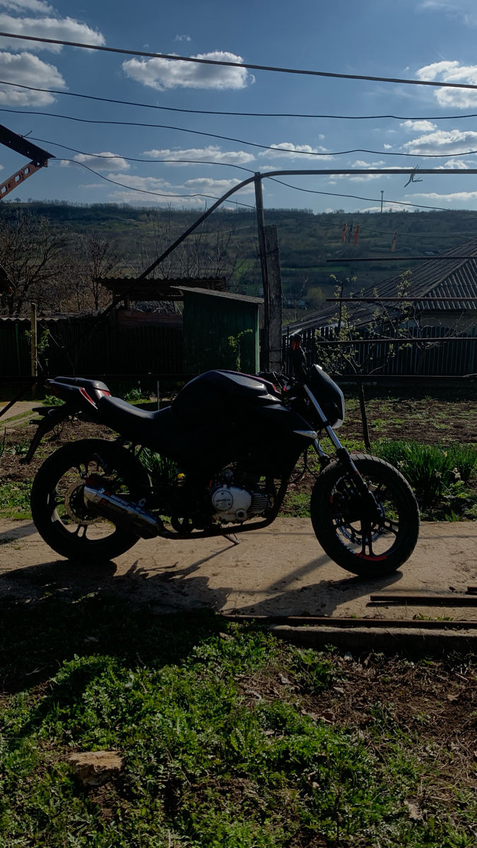 Viper R1 NK foto 6