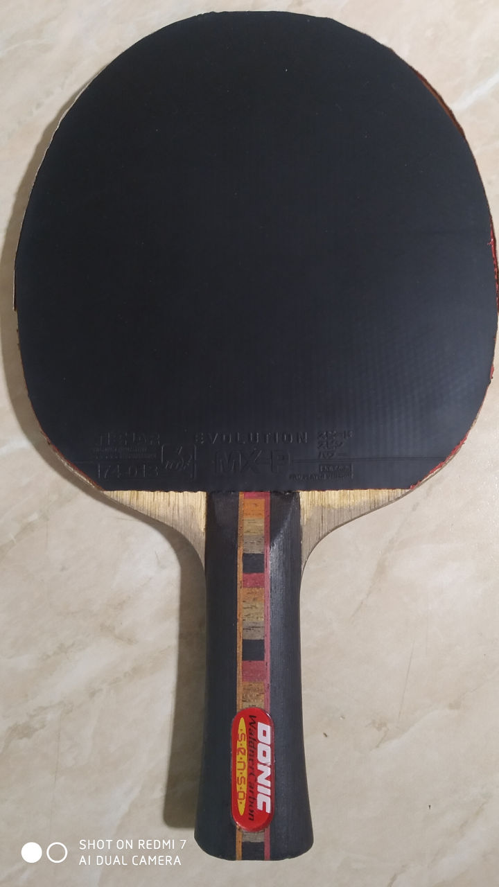 Paleta tenis de masa foto 0