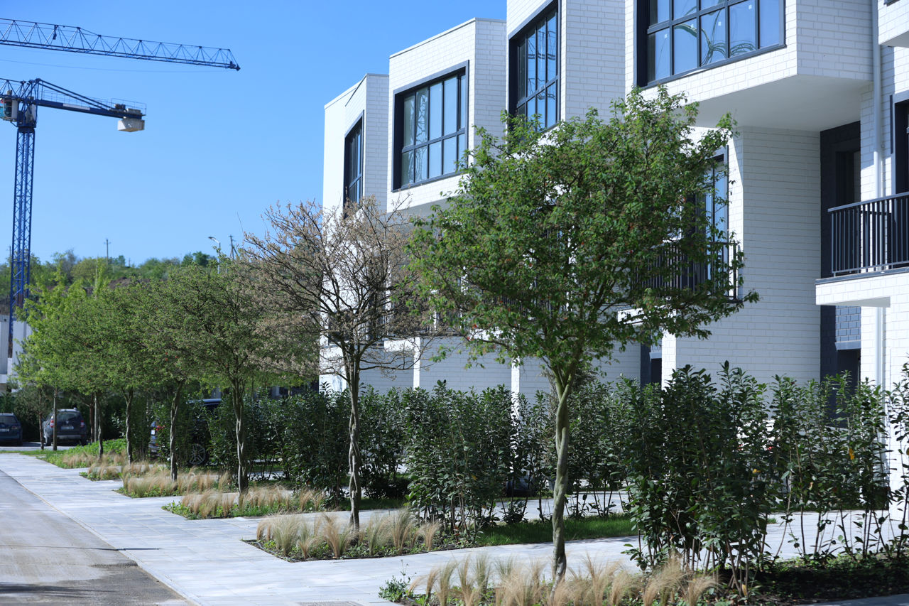 Townhouse 3 camere +living