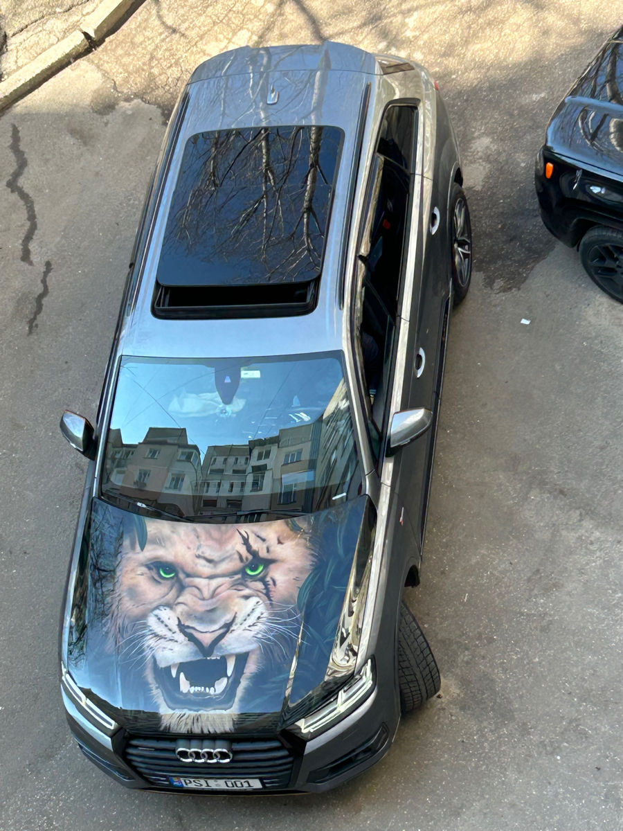 Aerografie airbrush аэрография foto 0