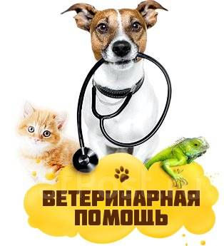 Вет. Врач. фото 0