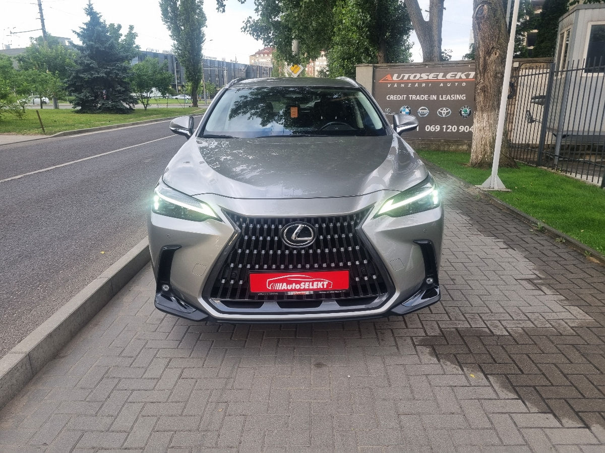 Lexus NX Series 2022 photo 2