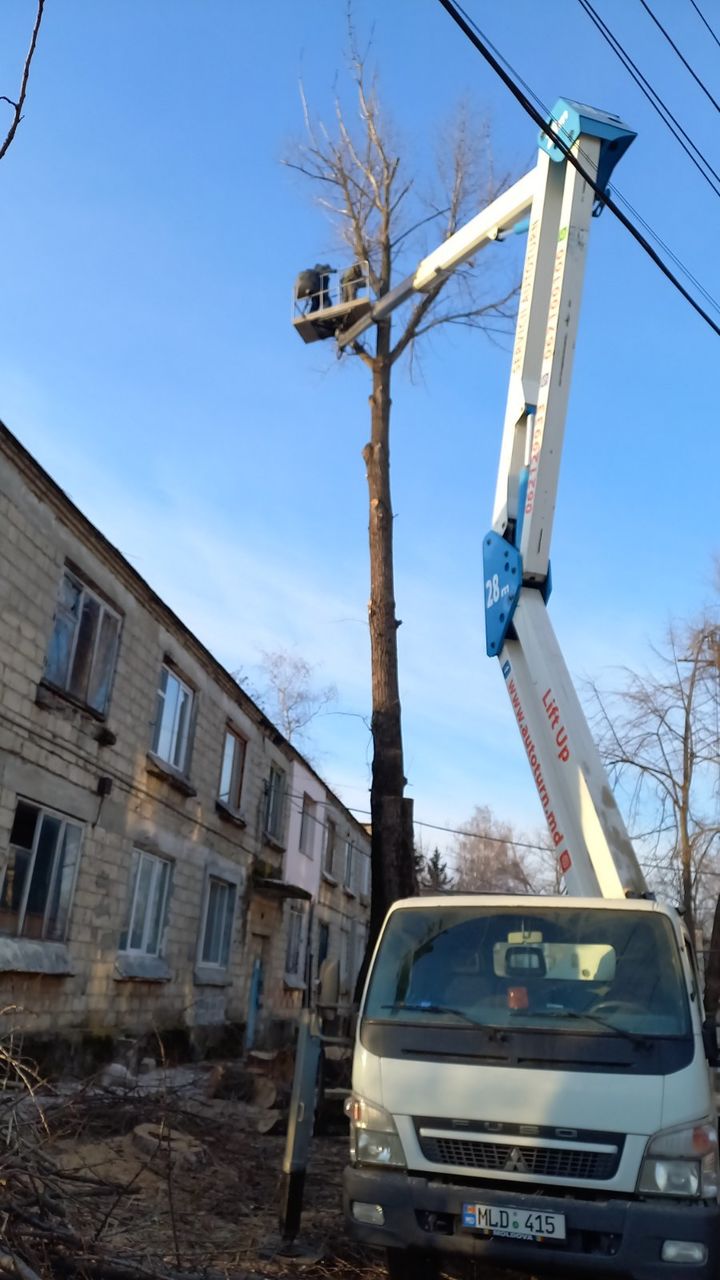 Curățim copaci  de înălțime mare cu mașini Autoturn și toate echipamentele necesare! foto 14