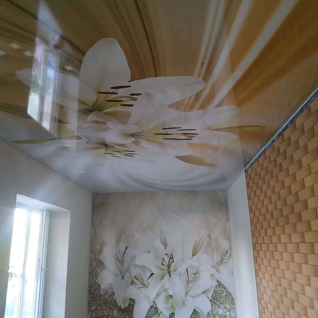 Tavane extensibile / Натяжные потолки foto 4