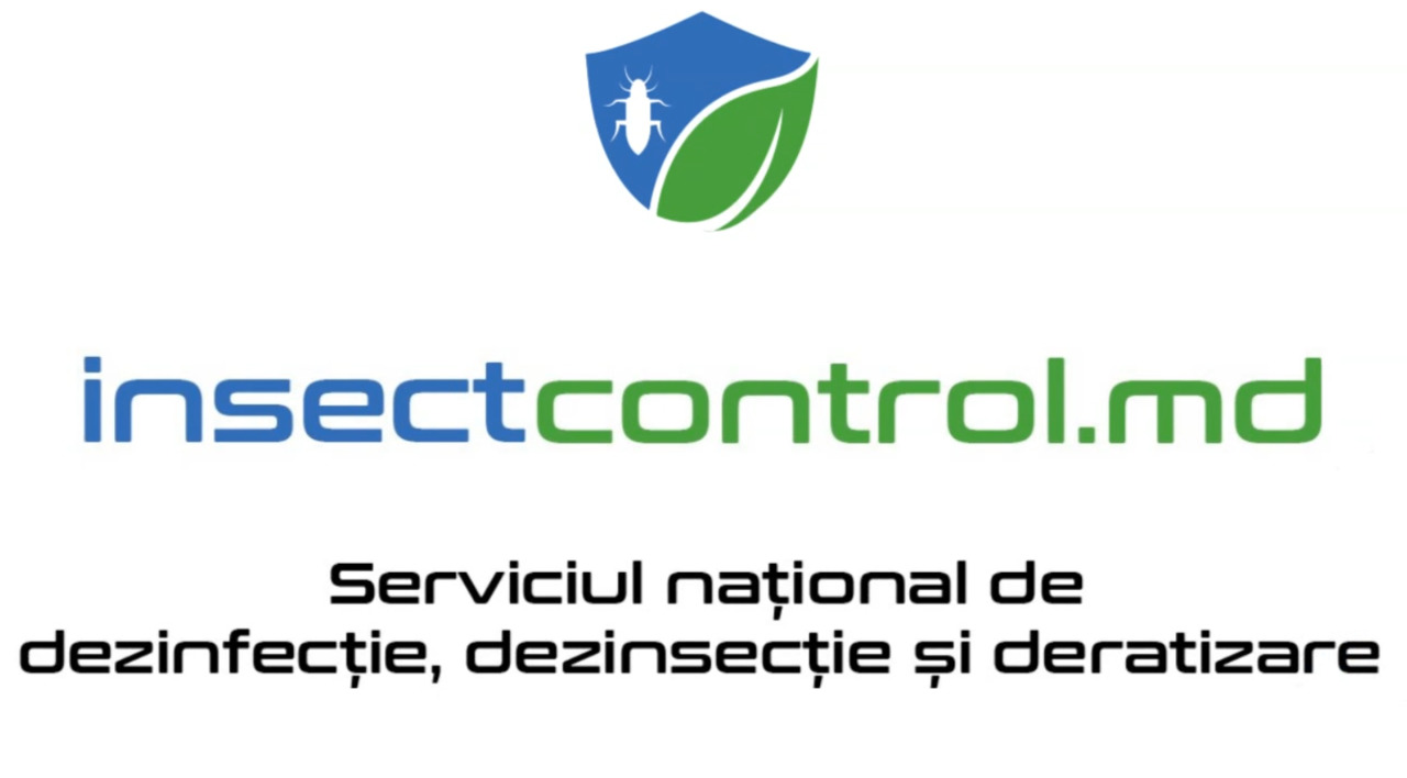 Dezinsecție, deratizare, dezinfecție – intervenții rapide, prețuri accesibile, Chișinău foto 3