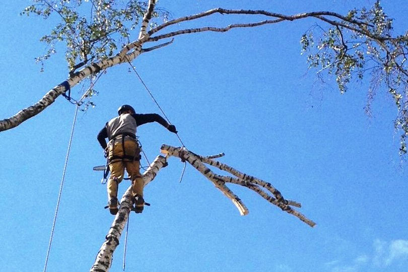 Alpinism industrial, lucrări la mare altitudine de orice complexitate, servicii de alpinism foto 8