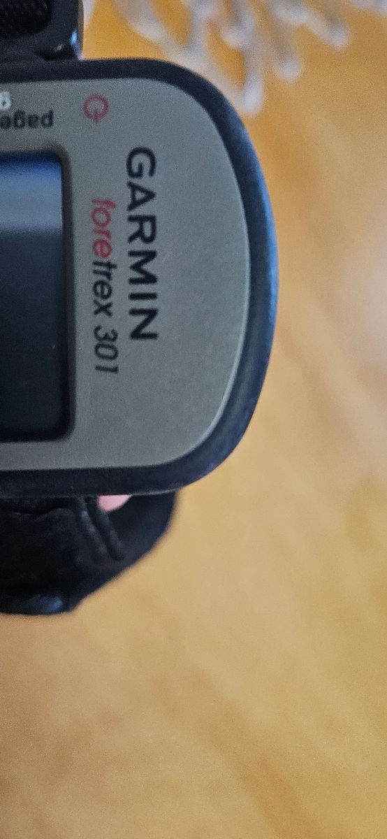 GPS navigator portabil garmin foretrex 301 foto 1