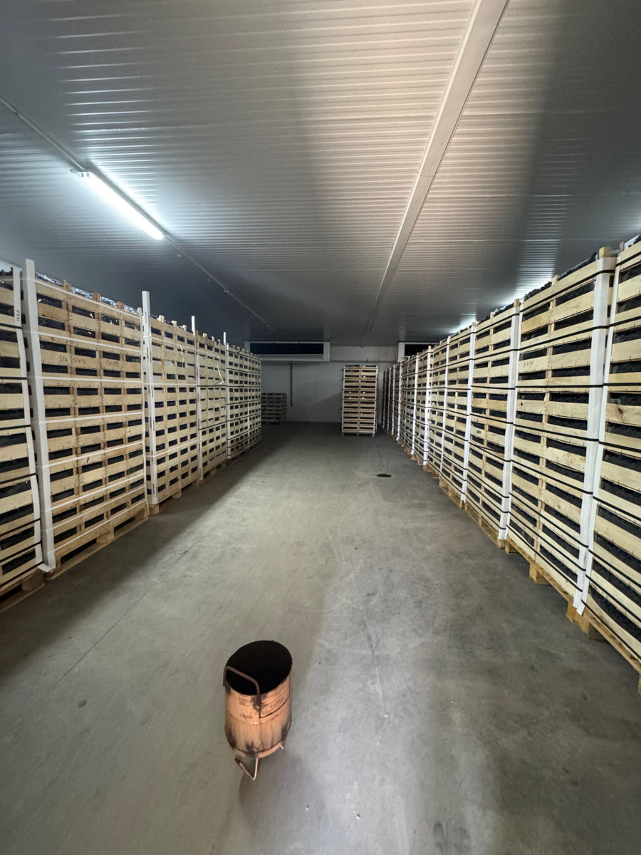 Depozit cu camere frigorifice de vânzare – Zona industrială foto 2