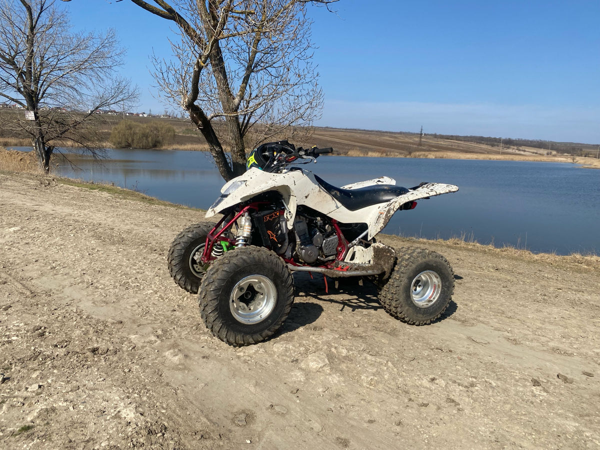 Suzuki LTZ 450  foto 0