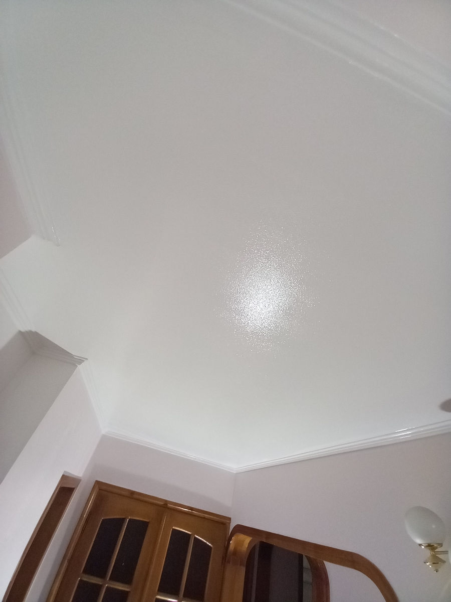 Reinoirea apartamentului, vopsirea apartamentului foto 2